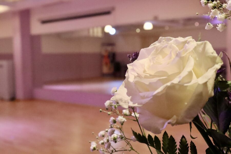 Blume im Tanzsaal der Tanzschule Tanzwelt Regensburg